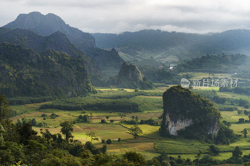 泰国Phayao省的Phu Langka山森林公园的晨景